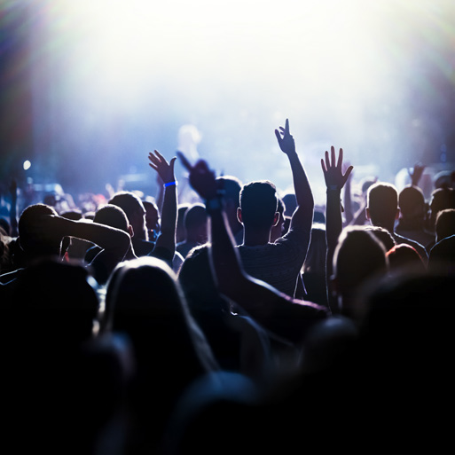 Konsertpublik